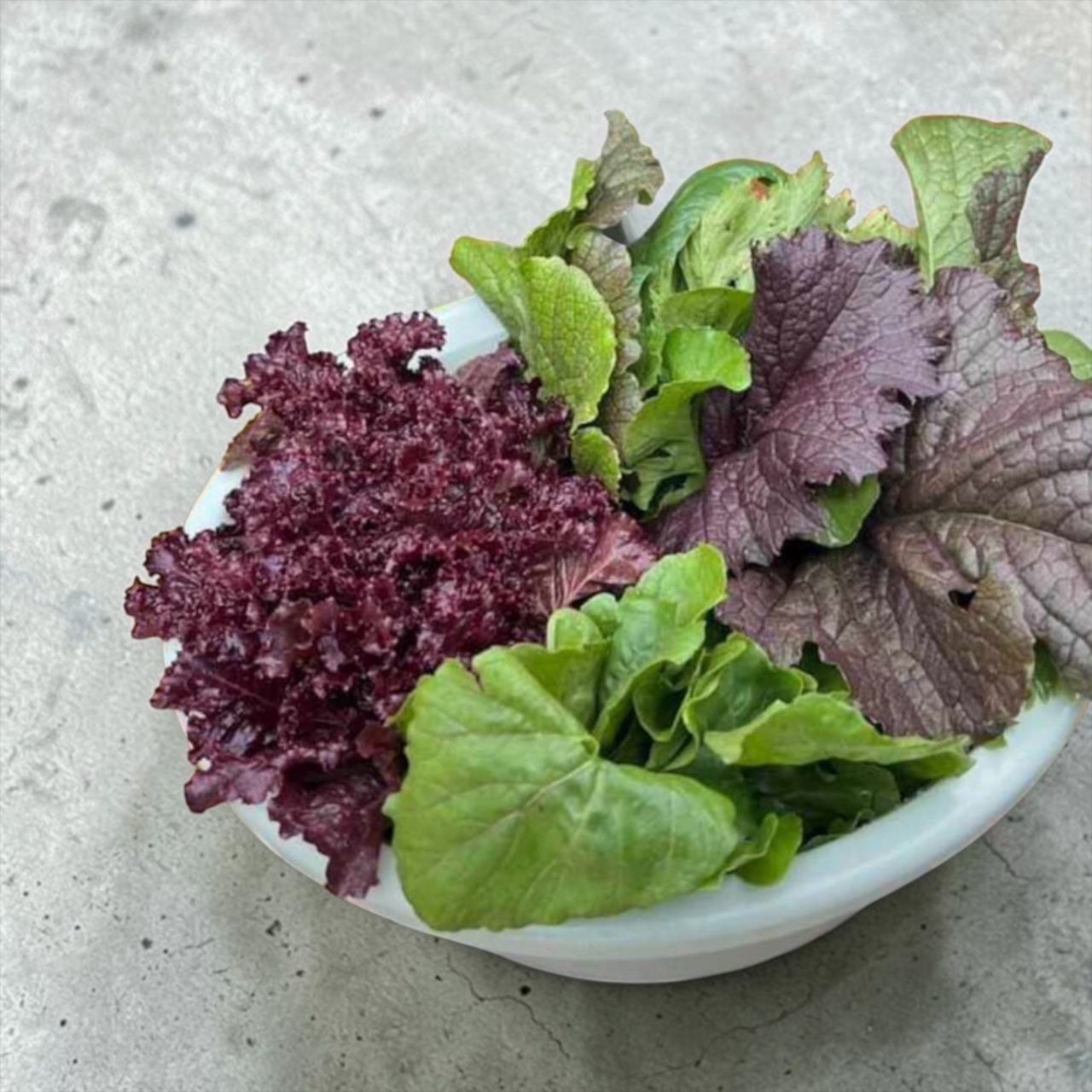 Lettuce
